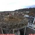 17_00-nest.jpg
