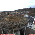 17_05-nest.jpg