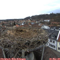 17_10-nest.jpg