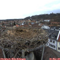 17_15-nest.jpg