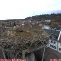 17_20-nest.jpg