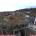 17_25-nest.jpg