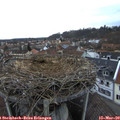 17_35-nest.jpg