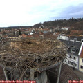 17_55-nest.jpg