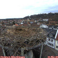 18_00-nest.jpg