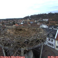 18_05-nest.jpg