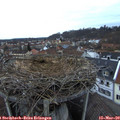 18_10-nest.jpg