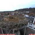 18_15-nest.jpg
