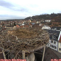 06_50-nest.jpg
