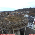 06_55-nest.jpg