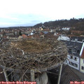 07_00-nest.jpg