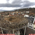 13_00-nest.jpg