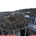 17_25-nest.jpg
