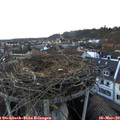 17_35-nest.jpg