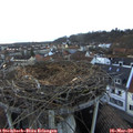 18_00-nest.jpg