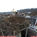 07_00-nest.jpg