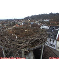 08_45-nest.jpg