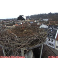09_05-nest.jpg