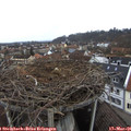 09_25-nest.jpg
