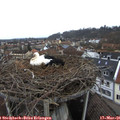 09_35-nest.jpg