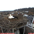 09_40-nest.jpg