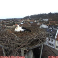 09_45-nest.jpg