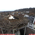 10_05-nest.jpg
