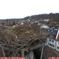 11_05-nest.jpg