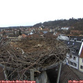 11_10-nest.jpg