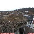 11_15-nest.jpg