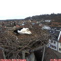 11_35-nest.jpg
