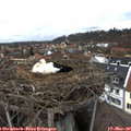 13_25-nest.jpg