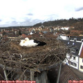 13_35-nest.jpg