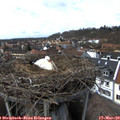 14_35-nest.jpg