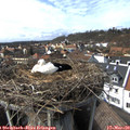 14_55-nest.jpg