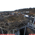 16_40-nest.jpg