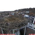 16_55-nest.jpg