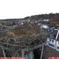 17_05-nest.jpg