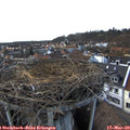 17_10-nest.jpg