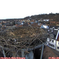 17_25-nest.jpg