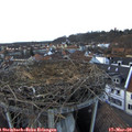 17_35-nest.jpg