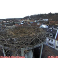 17_40-nest.jpg