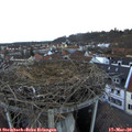 17_45-nest.jpg