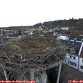 17_50-nest.jpg