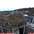 18_15-nest.jpg