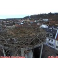 18_20-nest.jpg