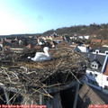 15_45-nest.jpg