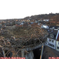 18_00-nest.jpg
