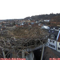 18_15-nest.jpg