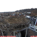 18_20-nest.jpg